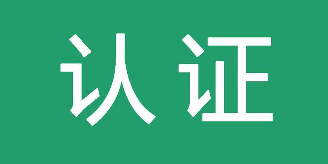 站群与泛目录的互补关系分析